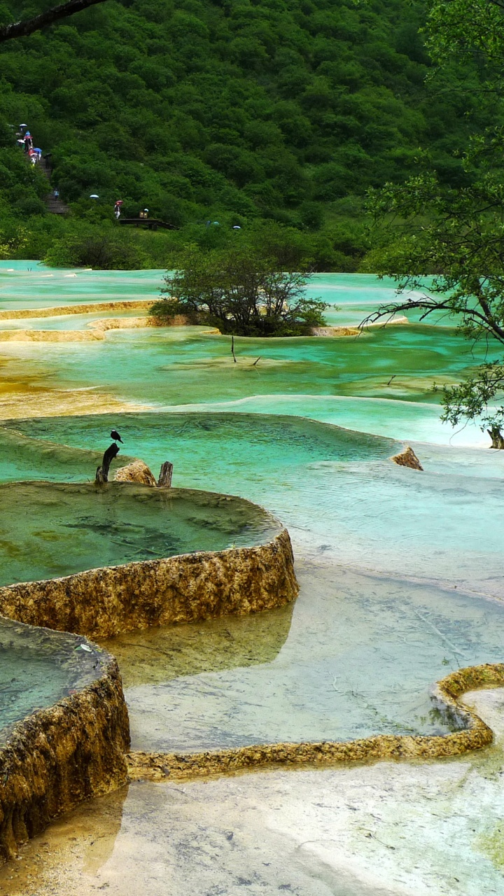 Обои природа, парк, природный парк, природный заповедник, водоем в разрешении 720x1280