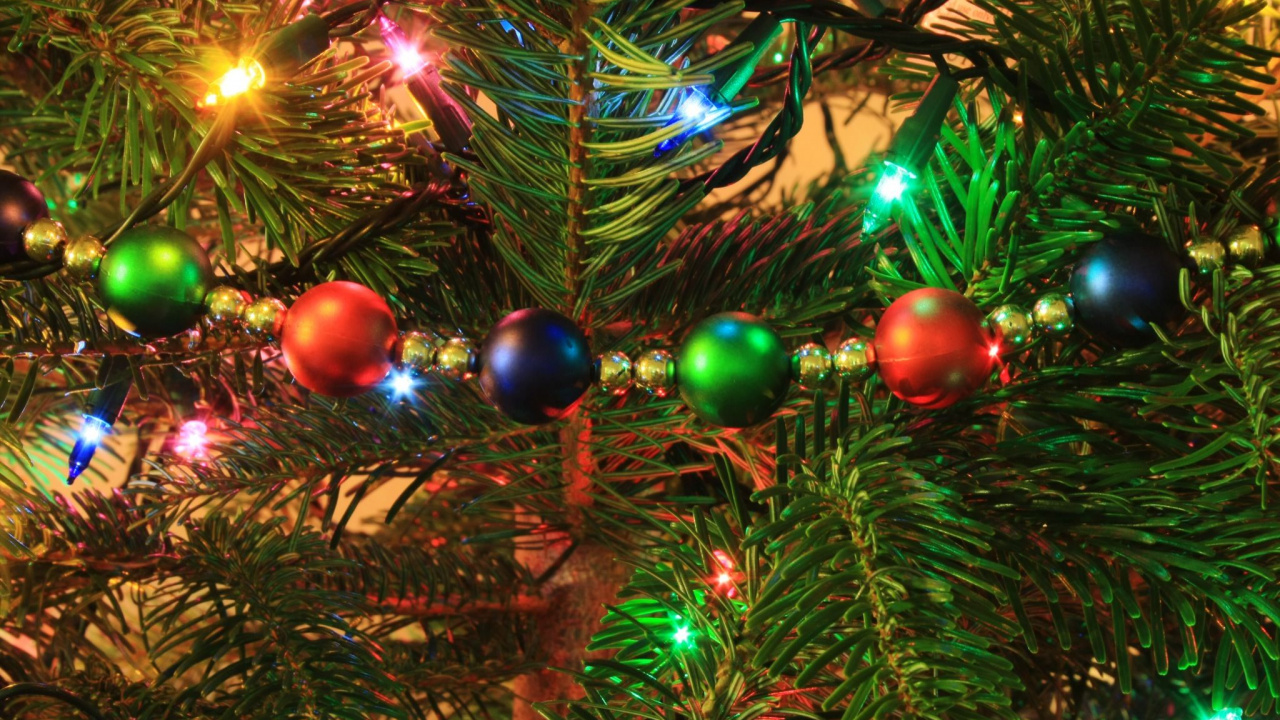 Обои вечнозеленое растение, рождественский орнамент, дерево, елка, Рождество в разрешении 1280x720