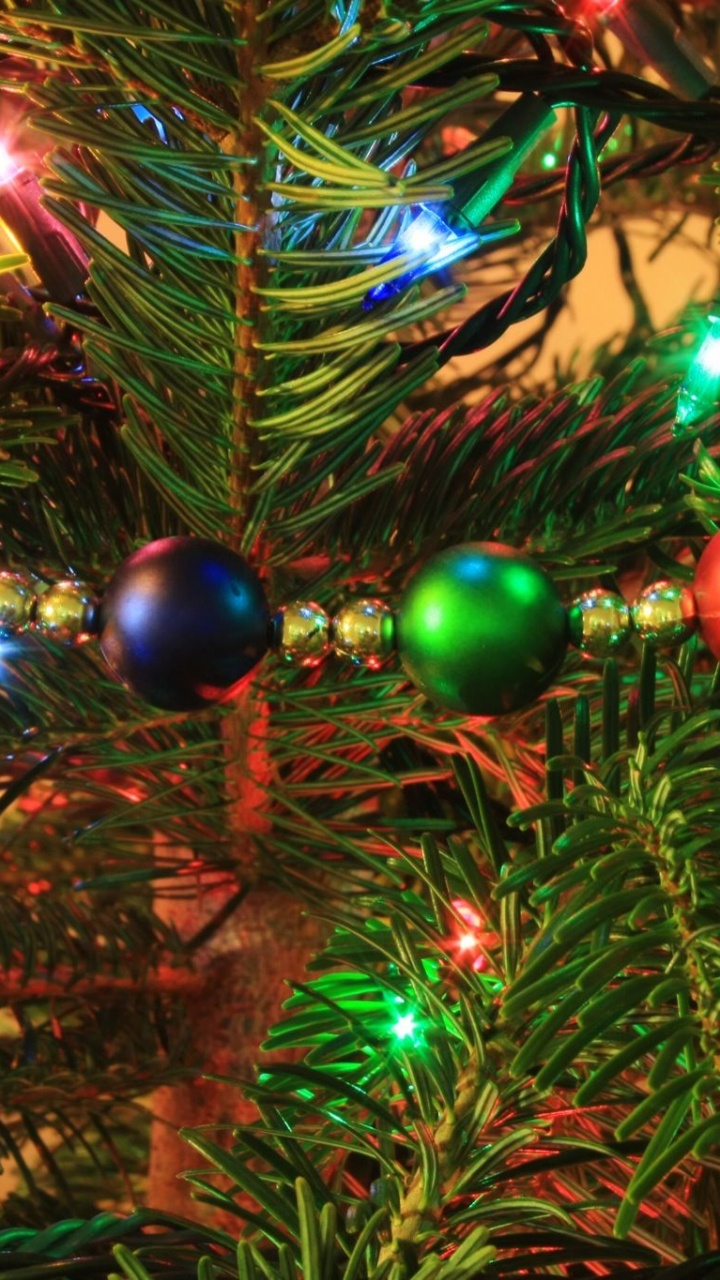 Обои вечнозеленое растение, рождественский орнамент, дерево, елка, Рождество в разрешении 720x1280