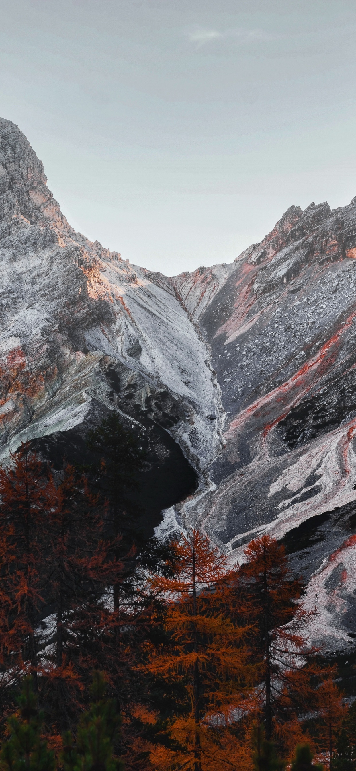 Обои дикая местность, гора, природный ландшафт, склон, растение в разрешении 1242x2688