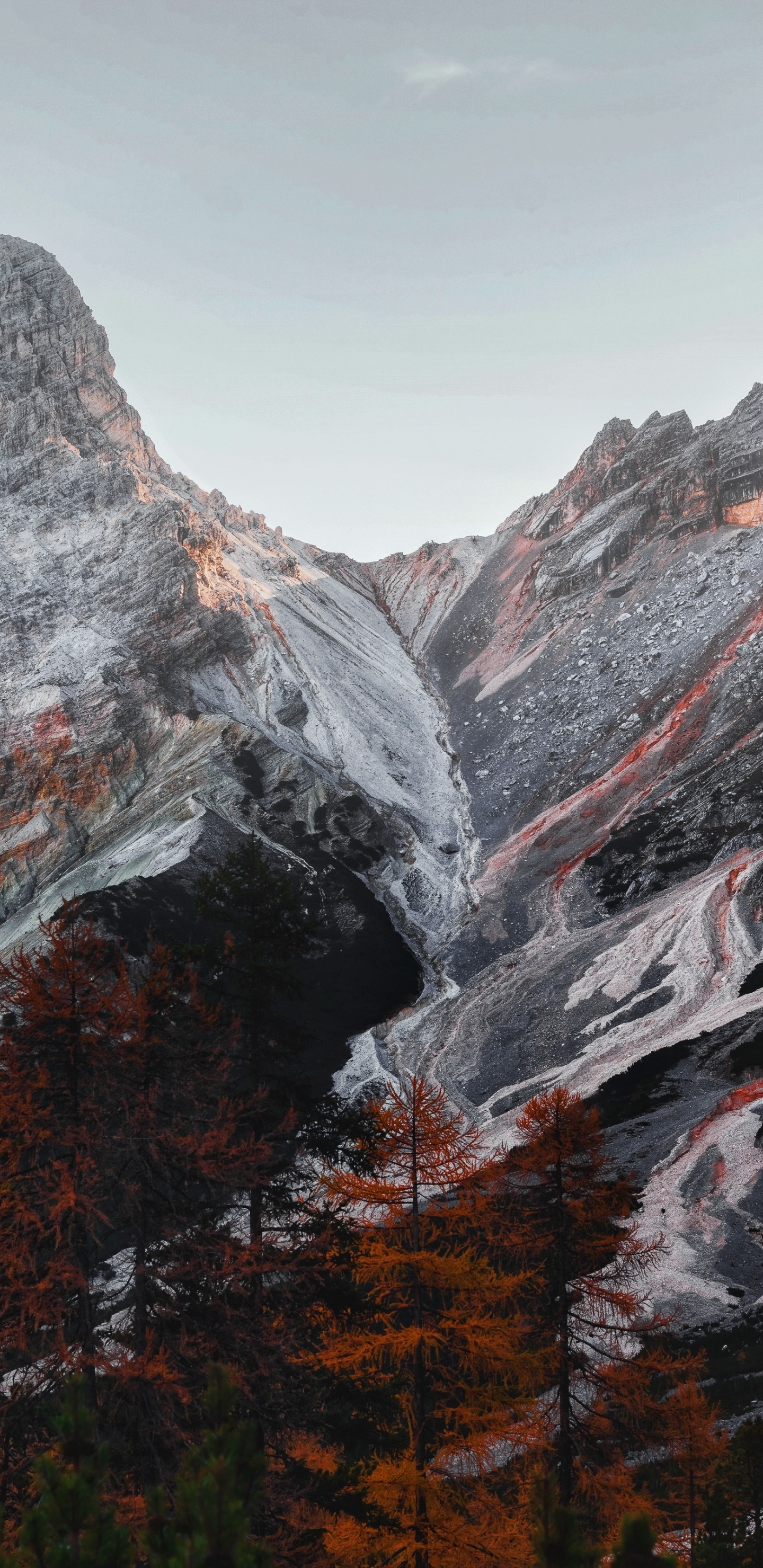 Обои дикая местность, гора, природный ландшафт, склон, растение в разрешении 1440x2960