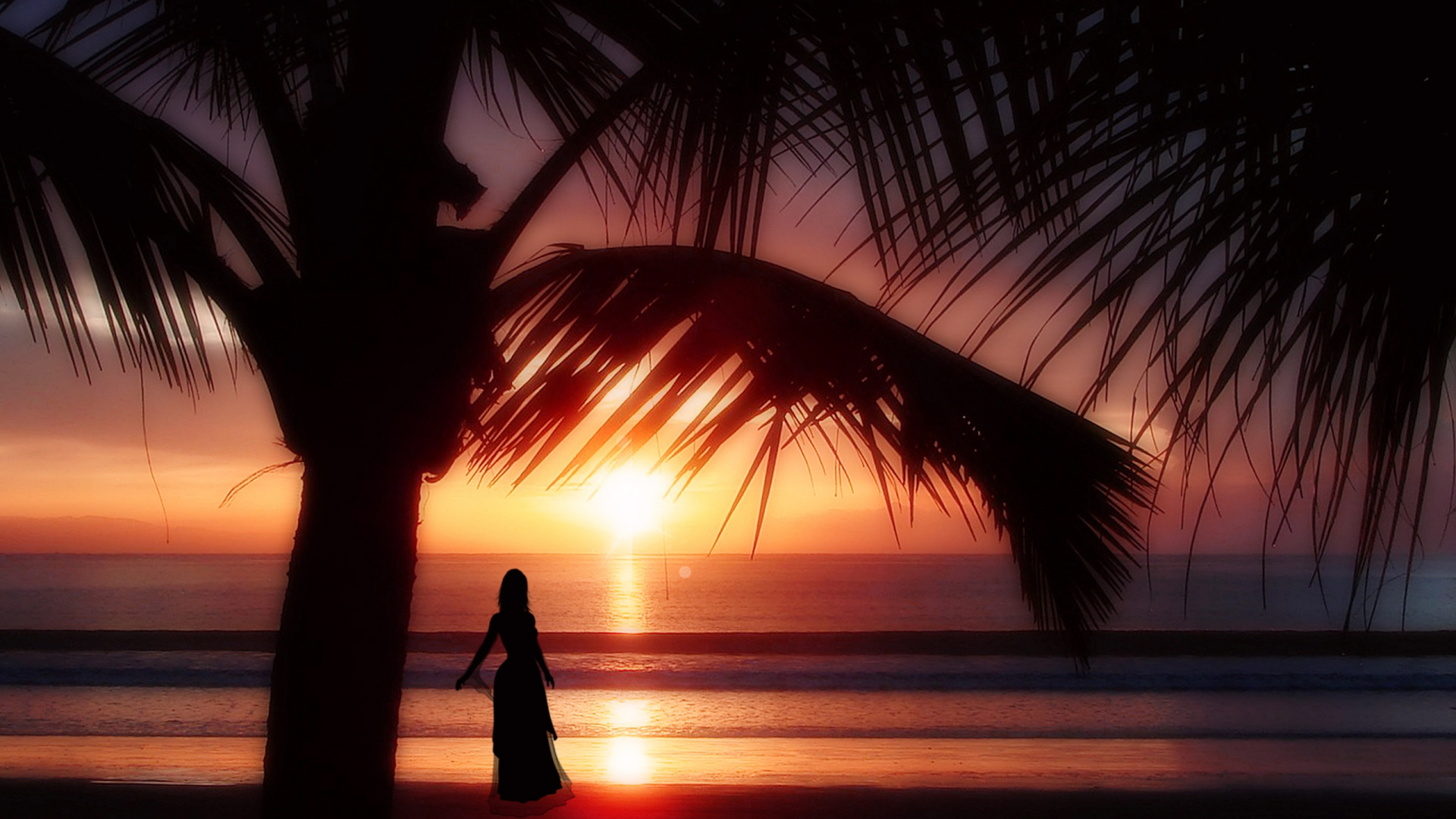 Обои закат, море, Пальма, горизонт, вечер в разрешении 1920x1080