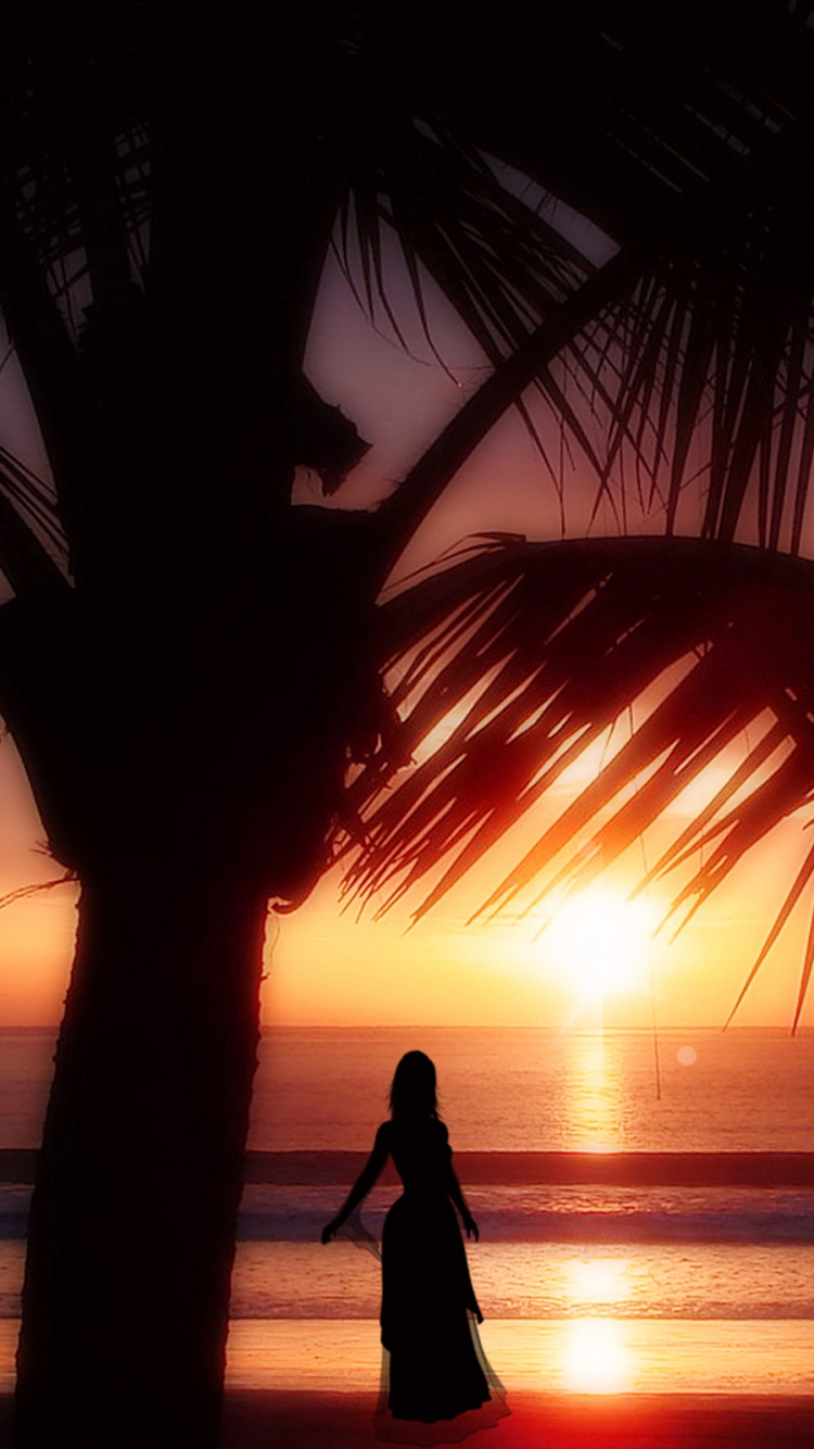 Обои закат, море, Пальма, горизонт, вечер в разрешении 750x1334