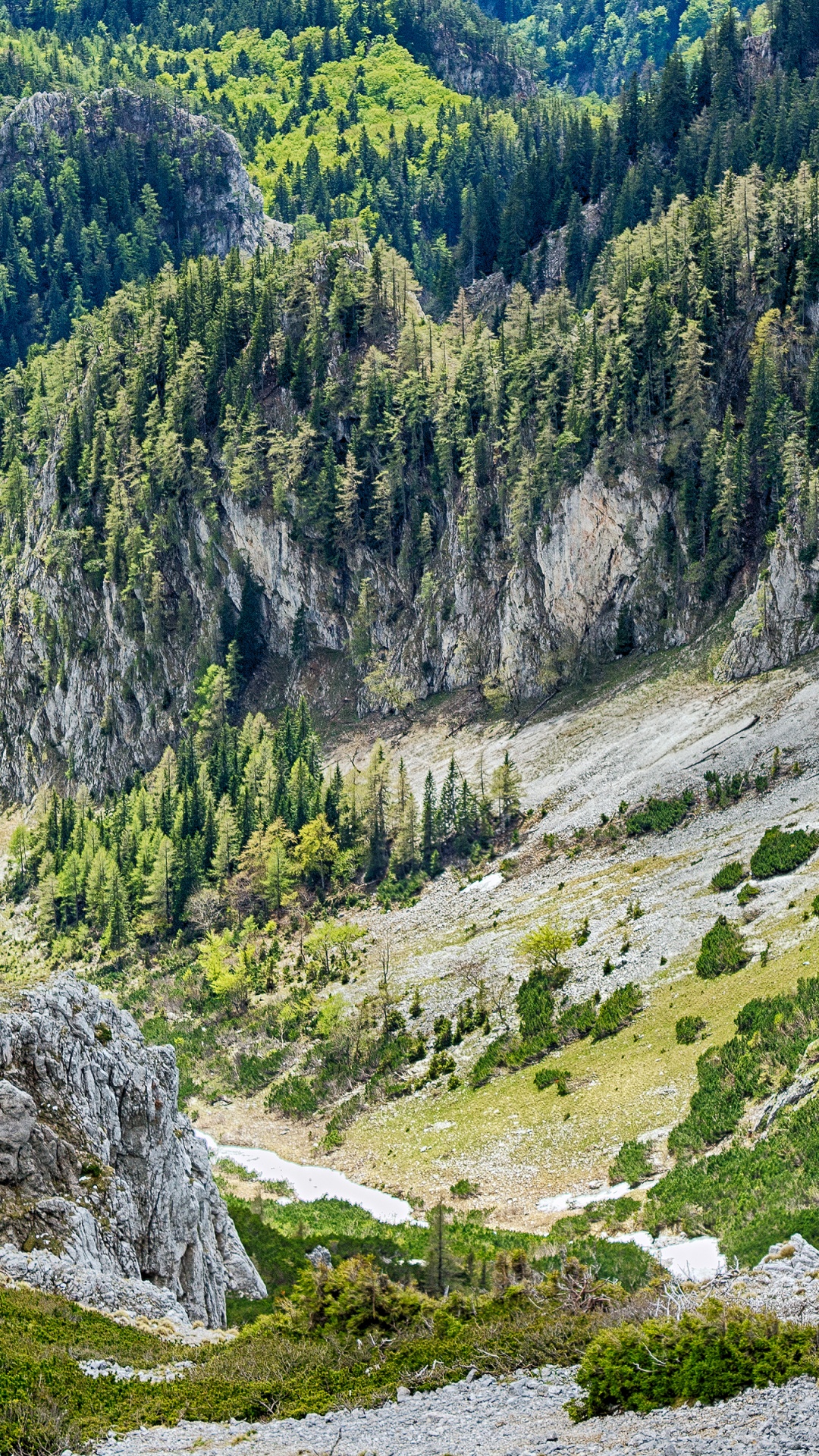 Обои дикая местность, песня, растение, растительное сообщество, гора в разрешении 1080x1920