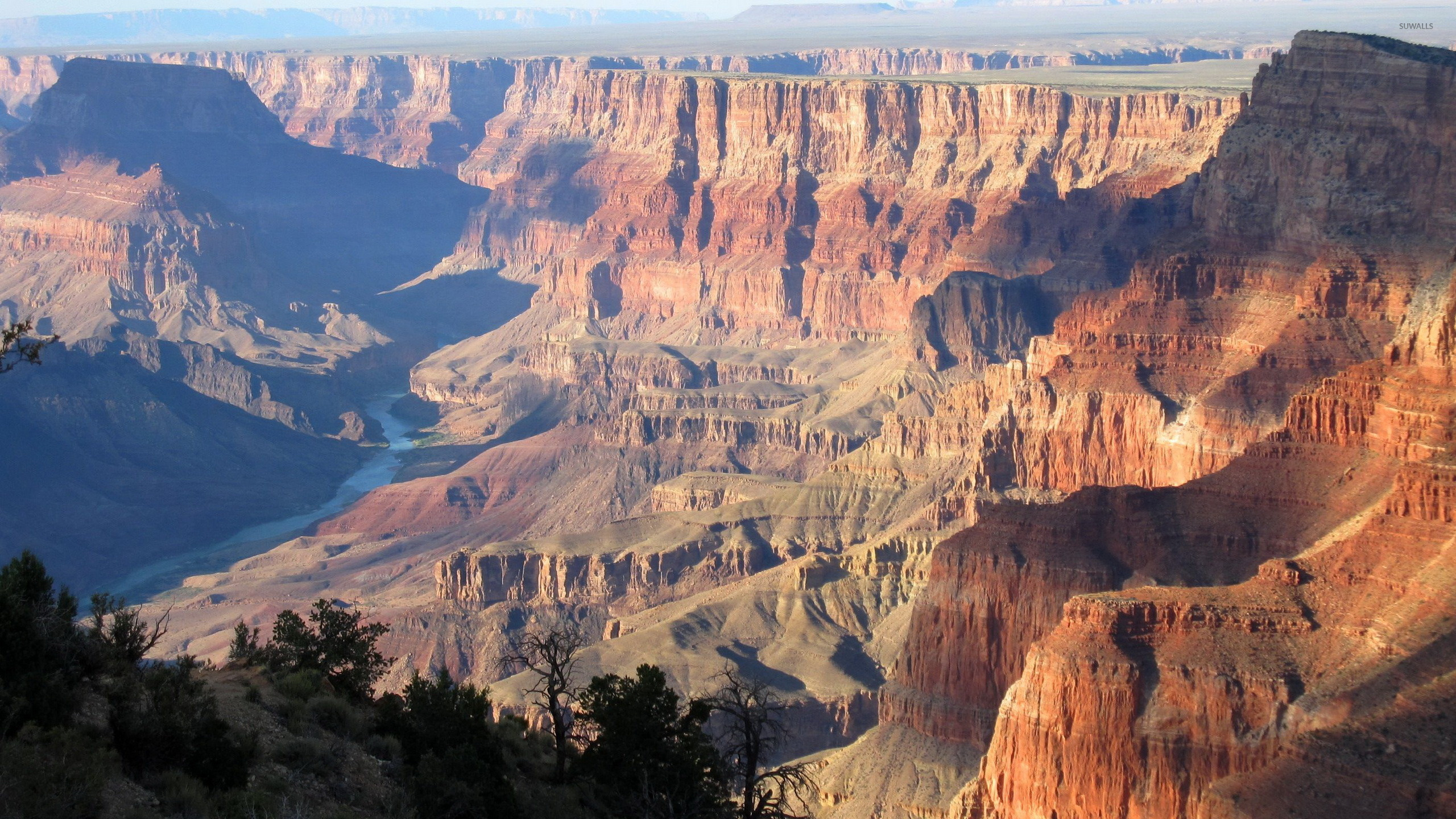 Обои национальный парк Гранд каньон, большой каньон, национальный парк, парк, бесплодные земли в разрешении 2560x1440