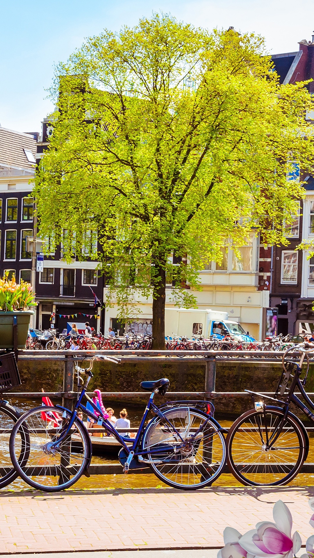 Обои Амстердам, город, желтый, цветок, городок в разрешении 1080x1920