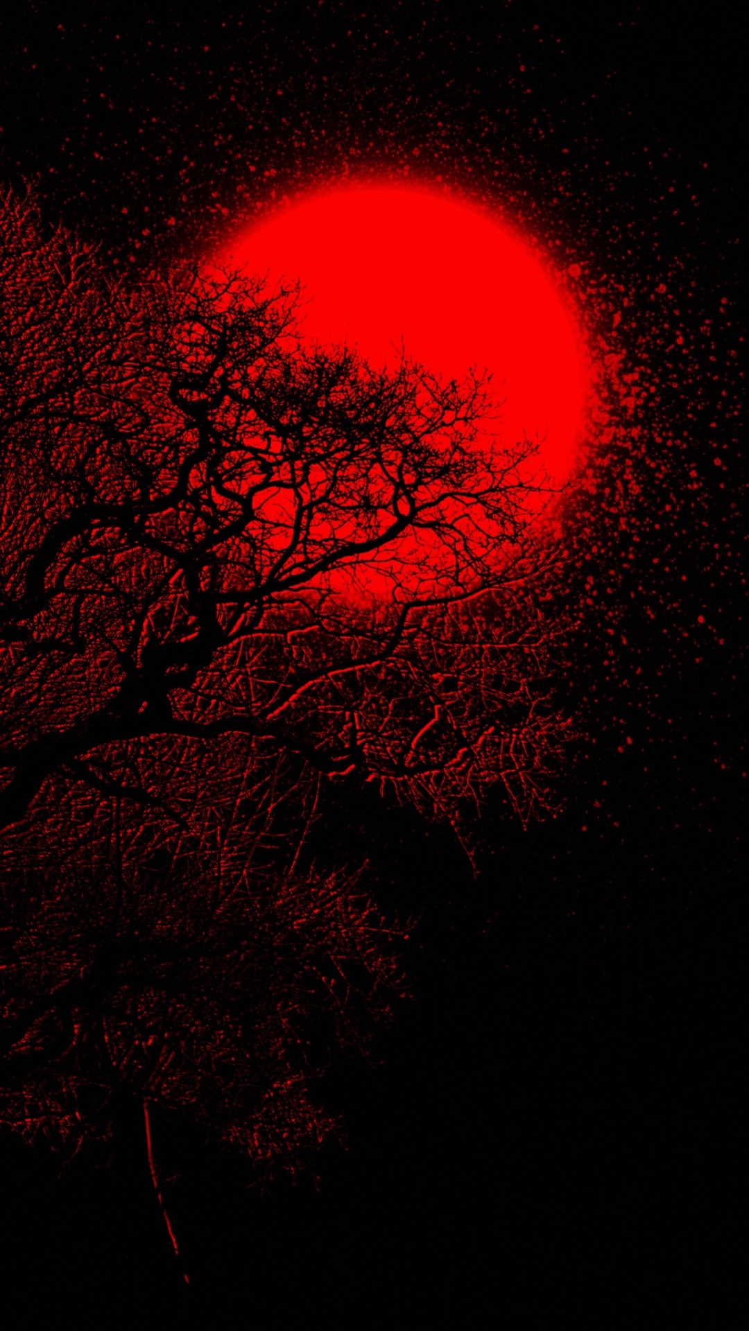 Обои атмосфера, растение, прут, розовый, дерево в разрешении 1080x1920