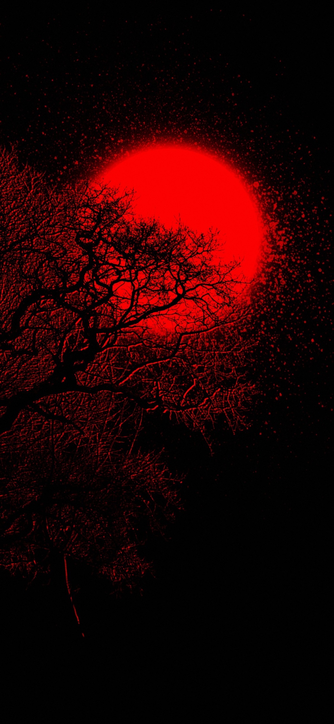 Обои атмосфера, растение, прут, розовый, дерево в разрешении 1125x2436