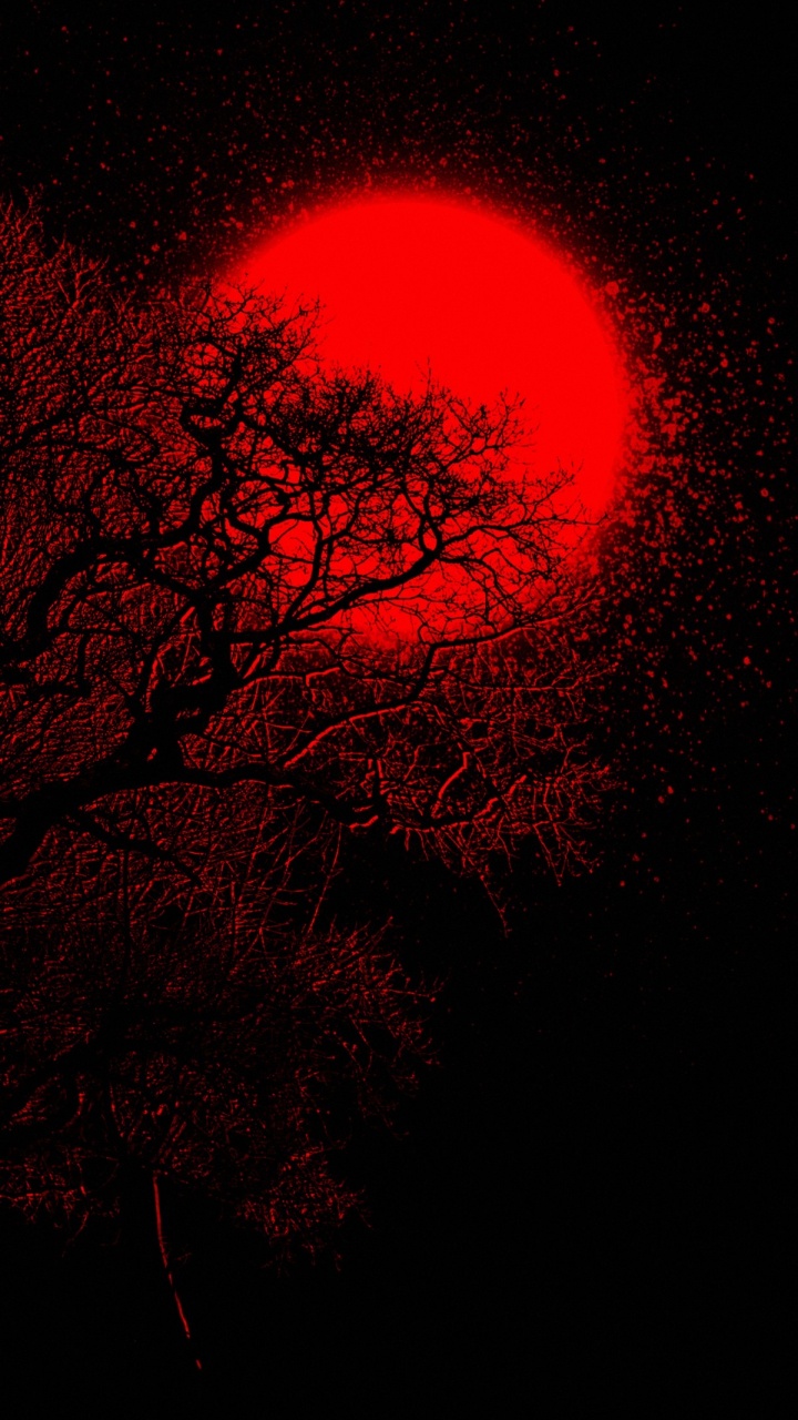 Обои атмосфера, растение, прут, розовый, дерево в разрешении 720x1280