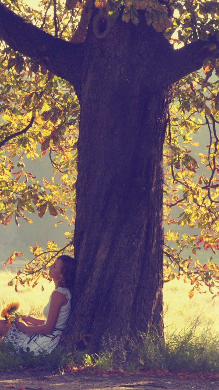 Обои природа, дерево, лист, ветвь, солнечный свет в разрешении 750x1334