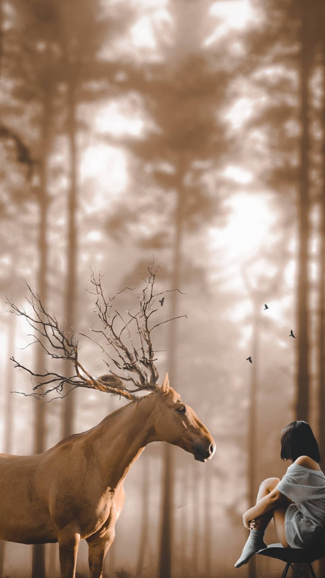 Обои Manchester State Forest, растение, Люди в природе, ветвь, древесина в разрешении 1080x1920