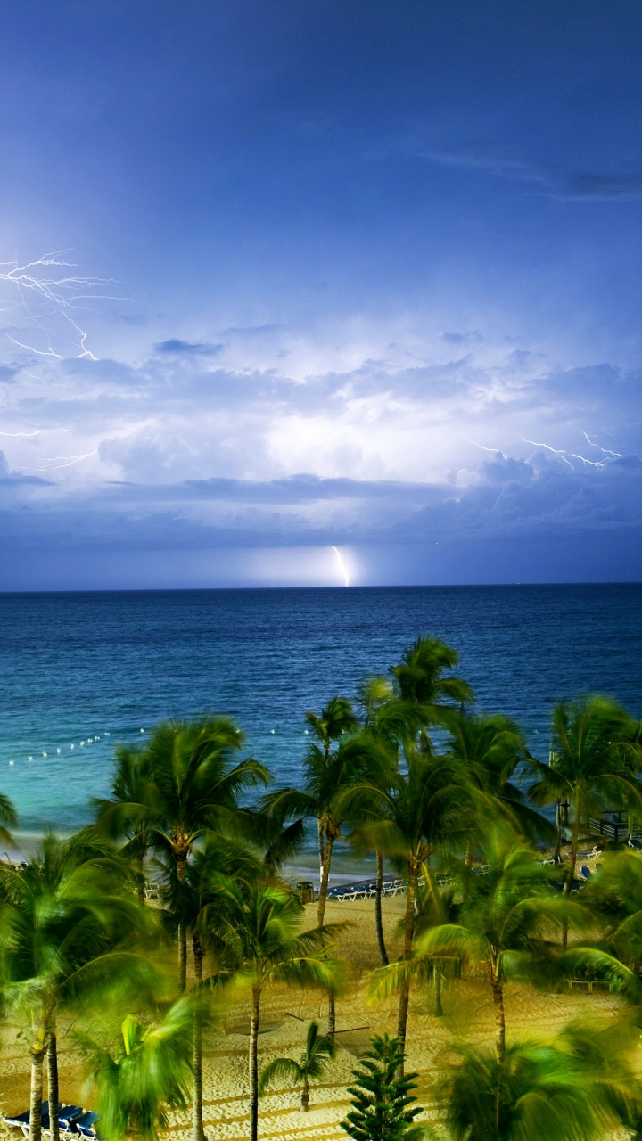 Обои небо, океан, пальмовые рощи, закат, берег в разрешении 720x1280