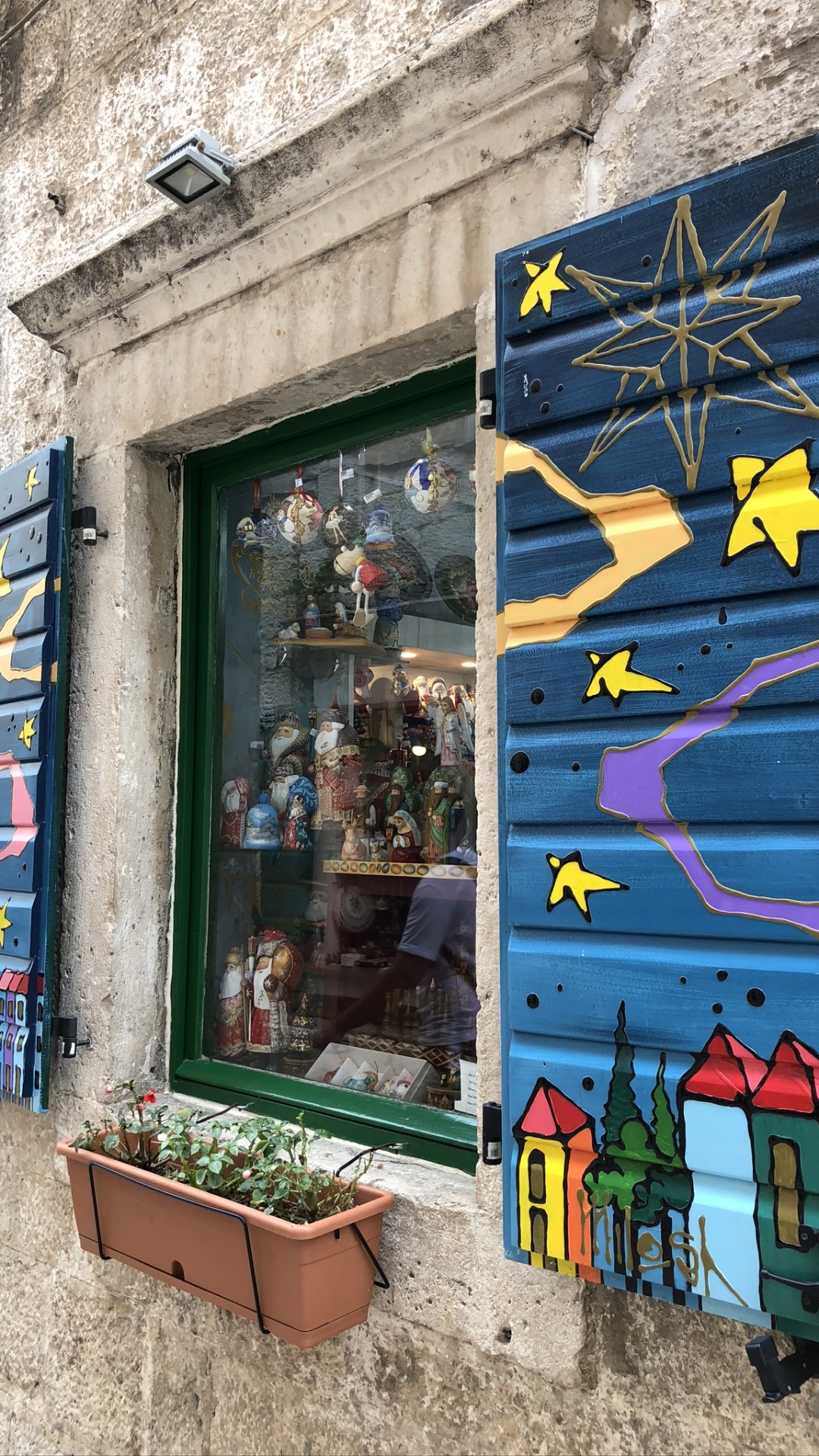 Обои стена, уличное искусство, цветочный горшок, мажорель синий, комнатное растение в разрешении 1080x1920