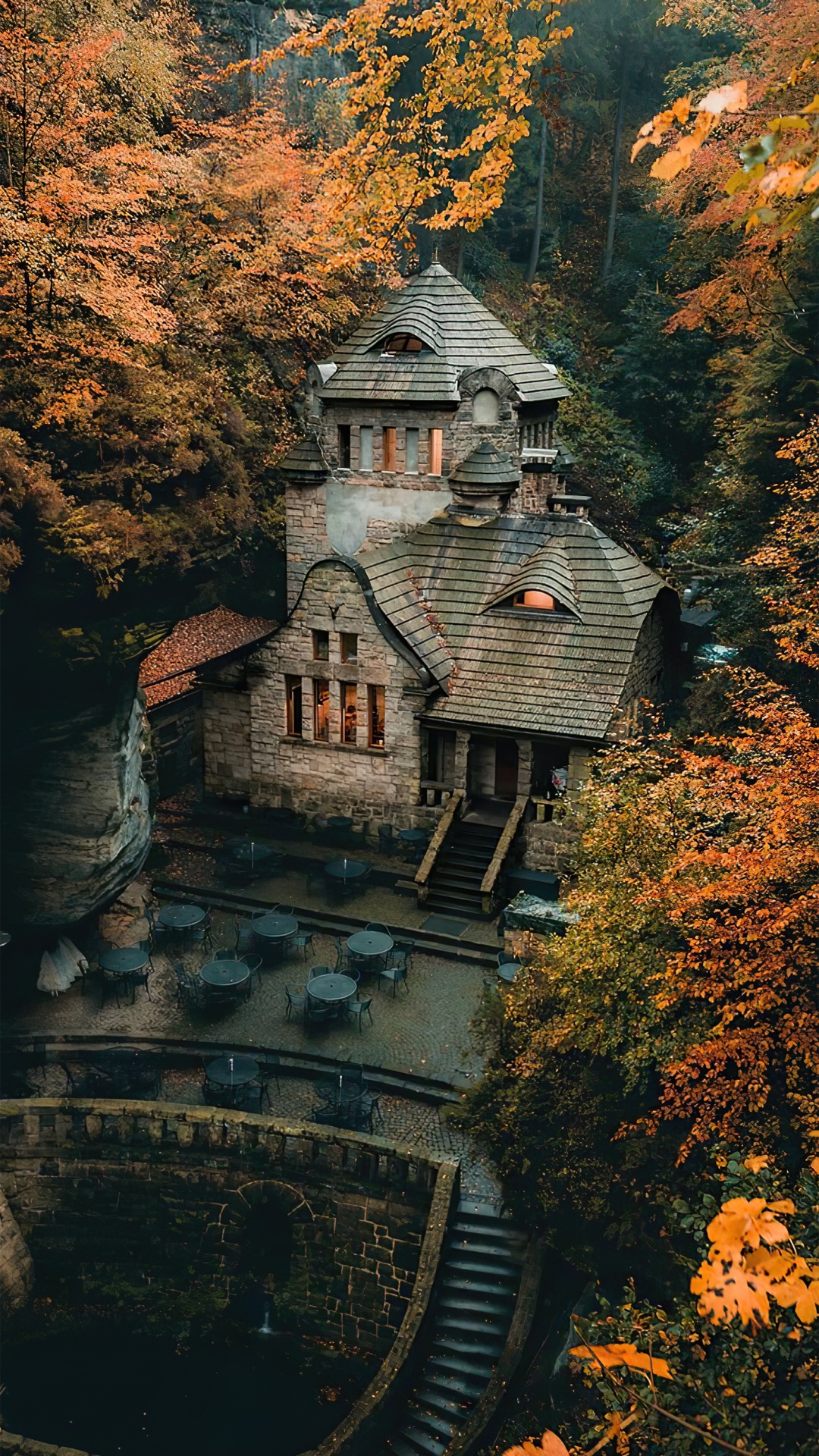 Обои здание, мир, окно, лист, природный ландшафт в разрешении 1080x1920