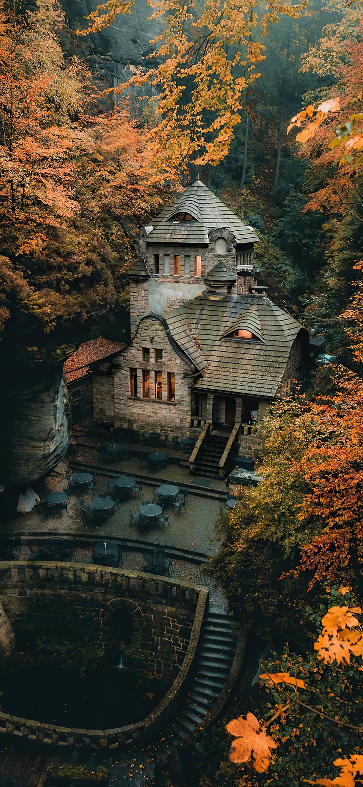 Обои здание, мир, окно, лист, природный ландшафт в разрешении 1242x2688