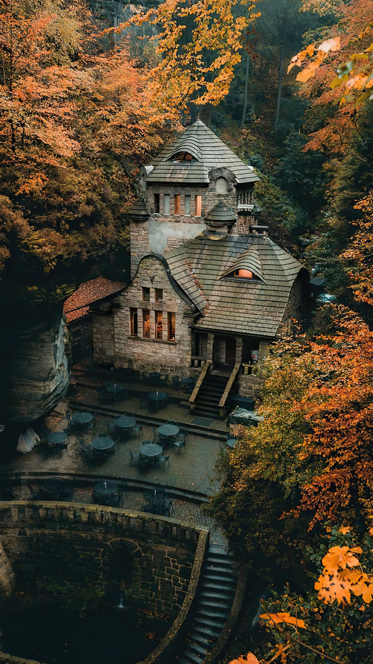 Обои здание, мир, окно, лист, природный ландшафт в разрешении 750x1334