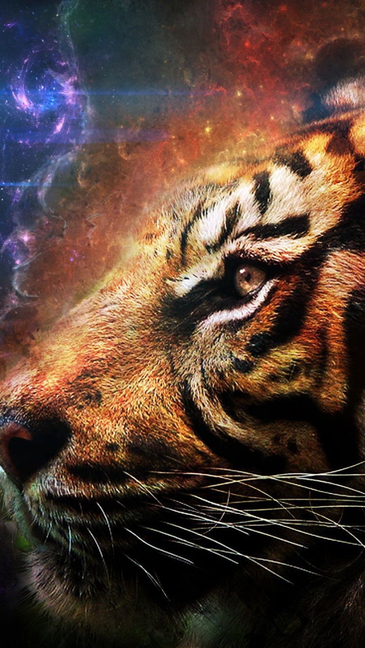 Обои тигр, живопись, бенгальский тигр, кошачьих, живая природа в разрешении 720x1280