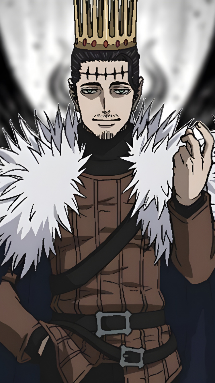 Обои аниме, черный клевер триада, Юки Табата, черный клевер, рукав в разрешении 750x1334