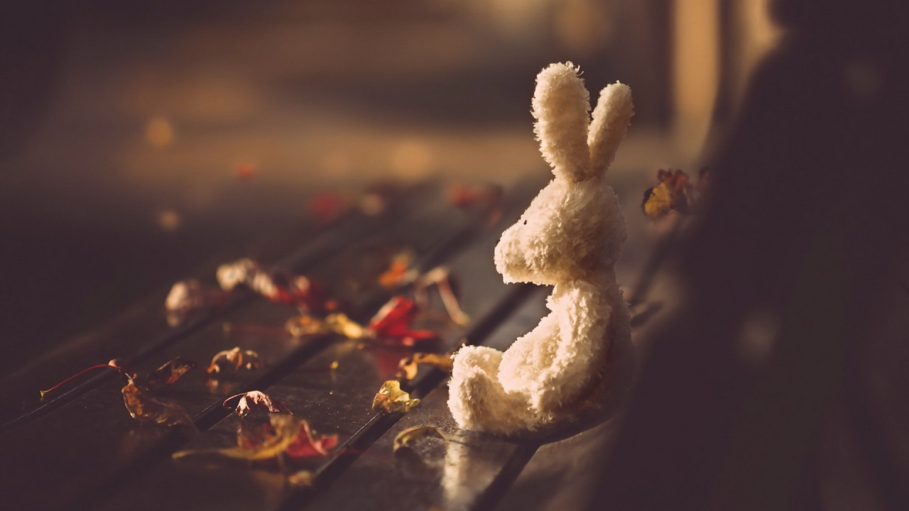 Обои лепесток, жест, облако, Кулинария, блюда в разрешении 1280x720