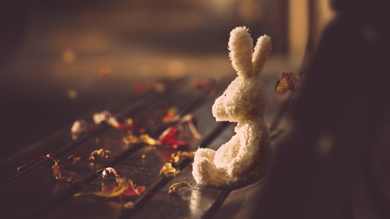 Обои лепесток, жест, облако, Кулинария, блюда в разрешении 1366x768