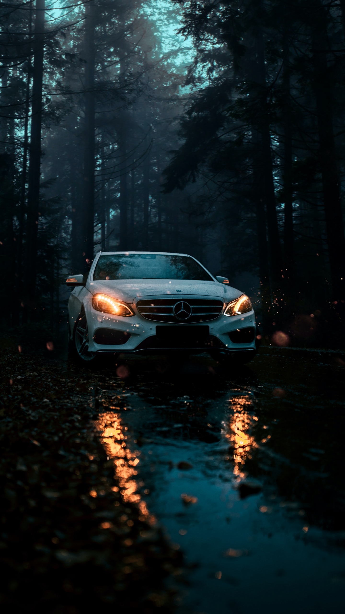 Обои легковые автомобили, mercedes benz, спорткар, джип, nissan skyline gt r в разрешении 1440x2560