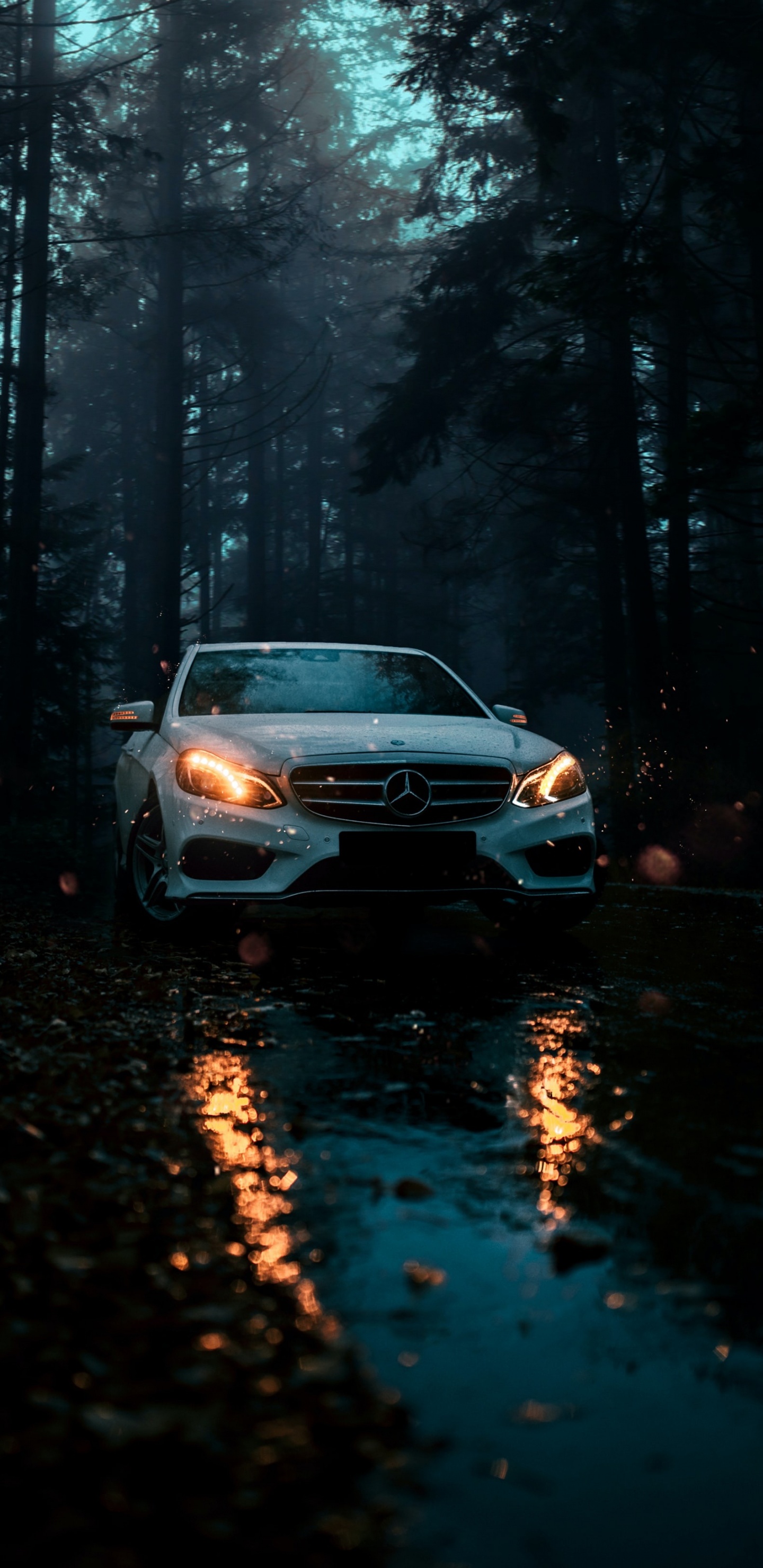 Обои легковые автомобили, mercedes benz, спорткар, джип, nissan skyline gt r в разрешении 1440x2960