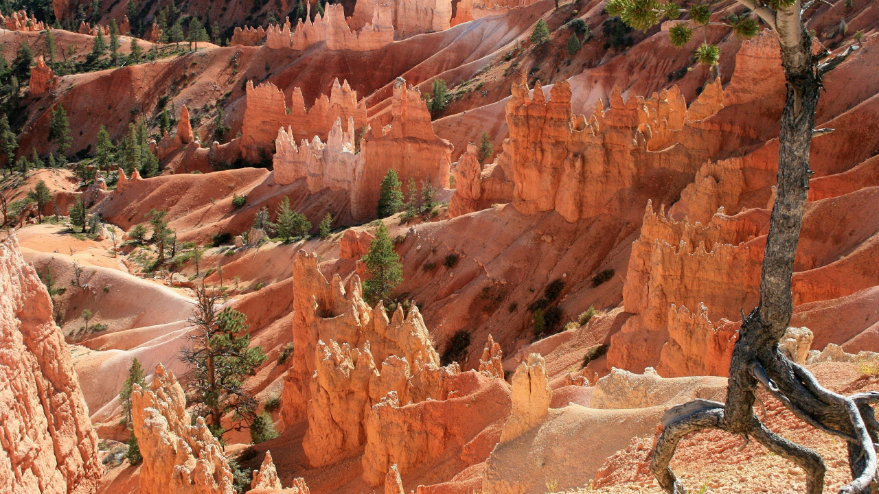 Обои бесплодные земли, Лас Вегас, Хамптон ИНН Люксы Лас-Вегас Саус, формирование, рок в разрешении 1280x720