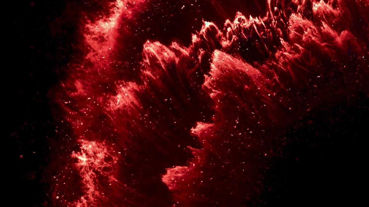 Обои растение, розовый, дерево, салют, полночь в разрешении 1280x720