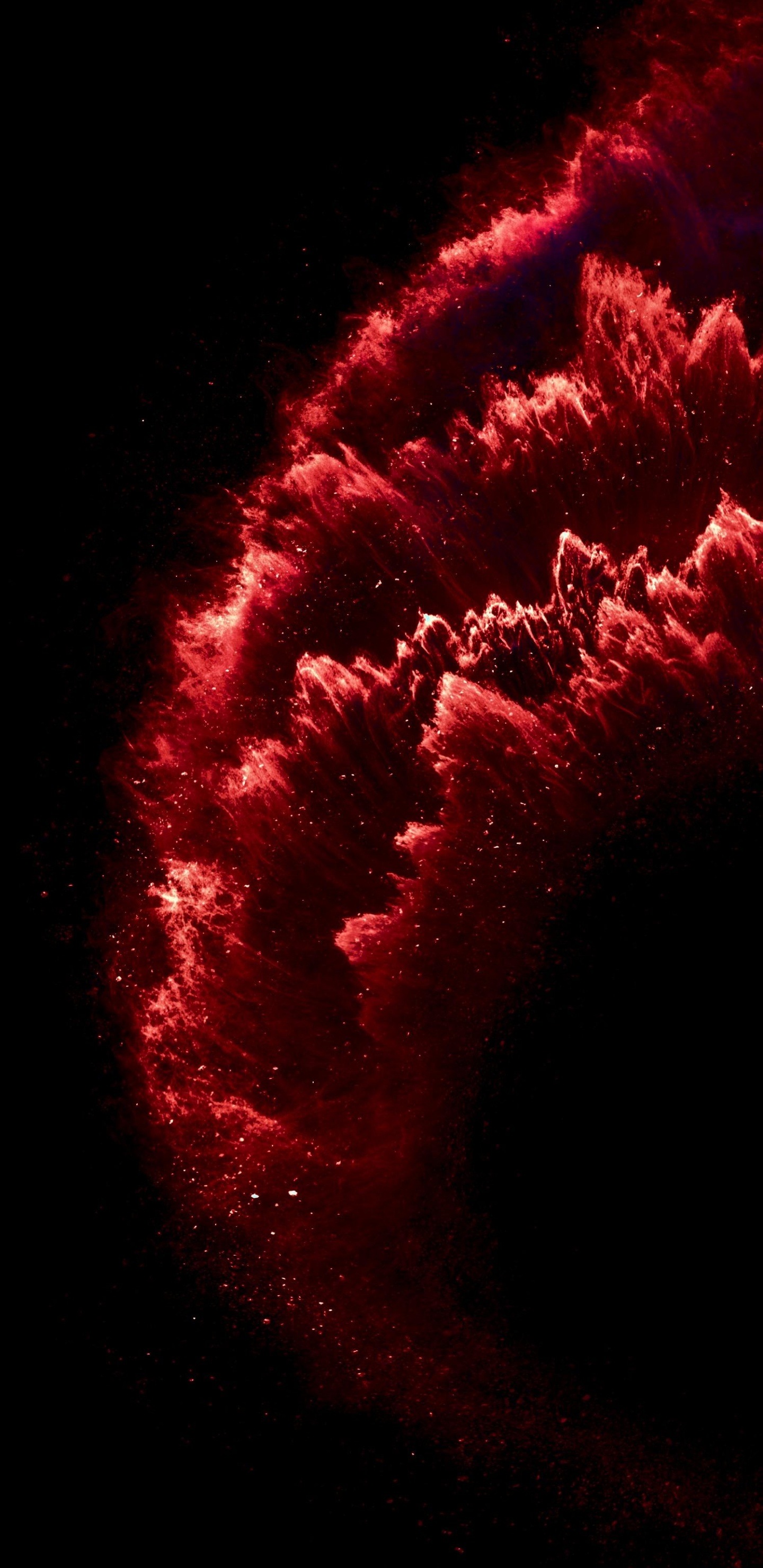Обои растение, розовый, дерево, салют, полночь в разрешении 1440x2960