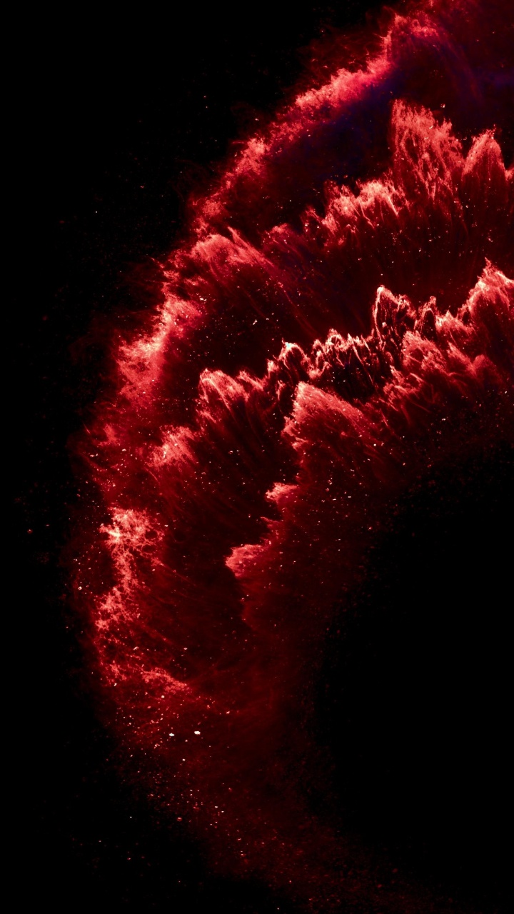 Обои растение, розовый, дерево, салют, полночь в разрешении 720x1280