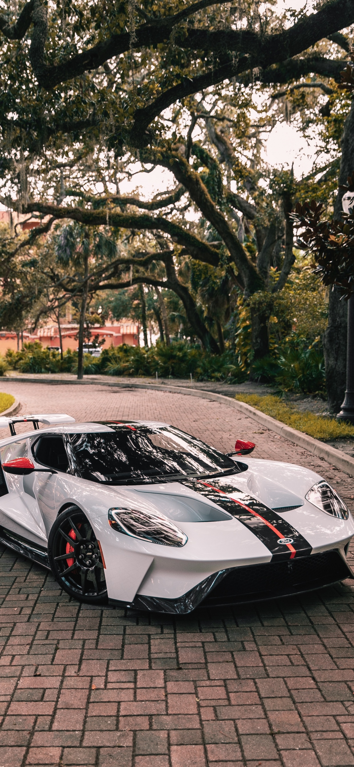 Обои ford gt, ford, спорткар, легковые автомобили, компания Ford в разрешении 1242x2688