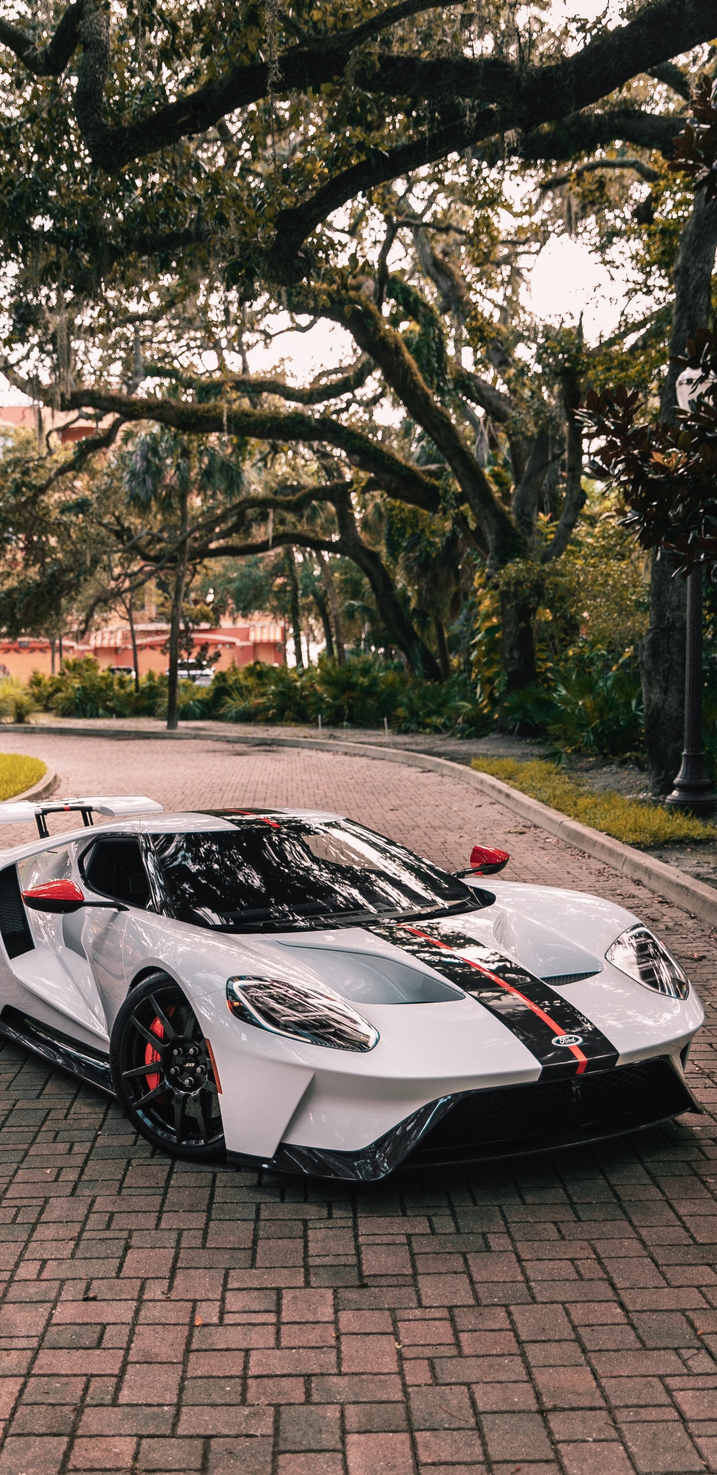 Обои ford gt, ford, спорткар, легковые автомобили, компания Ford в разрешении 1440x2960