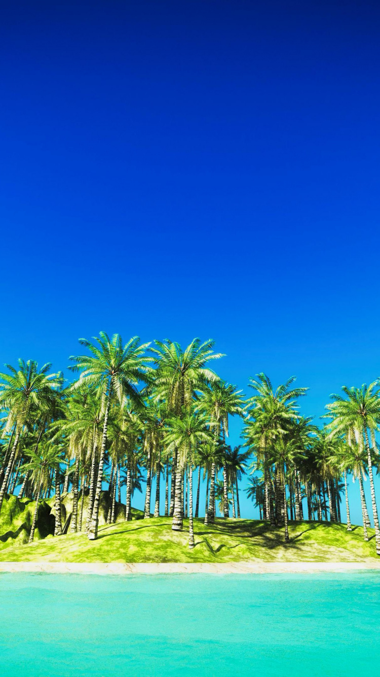 Обои природа, Остров, вода, растение, синий в разрешении 750x1334