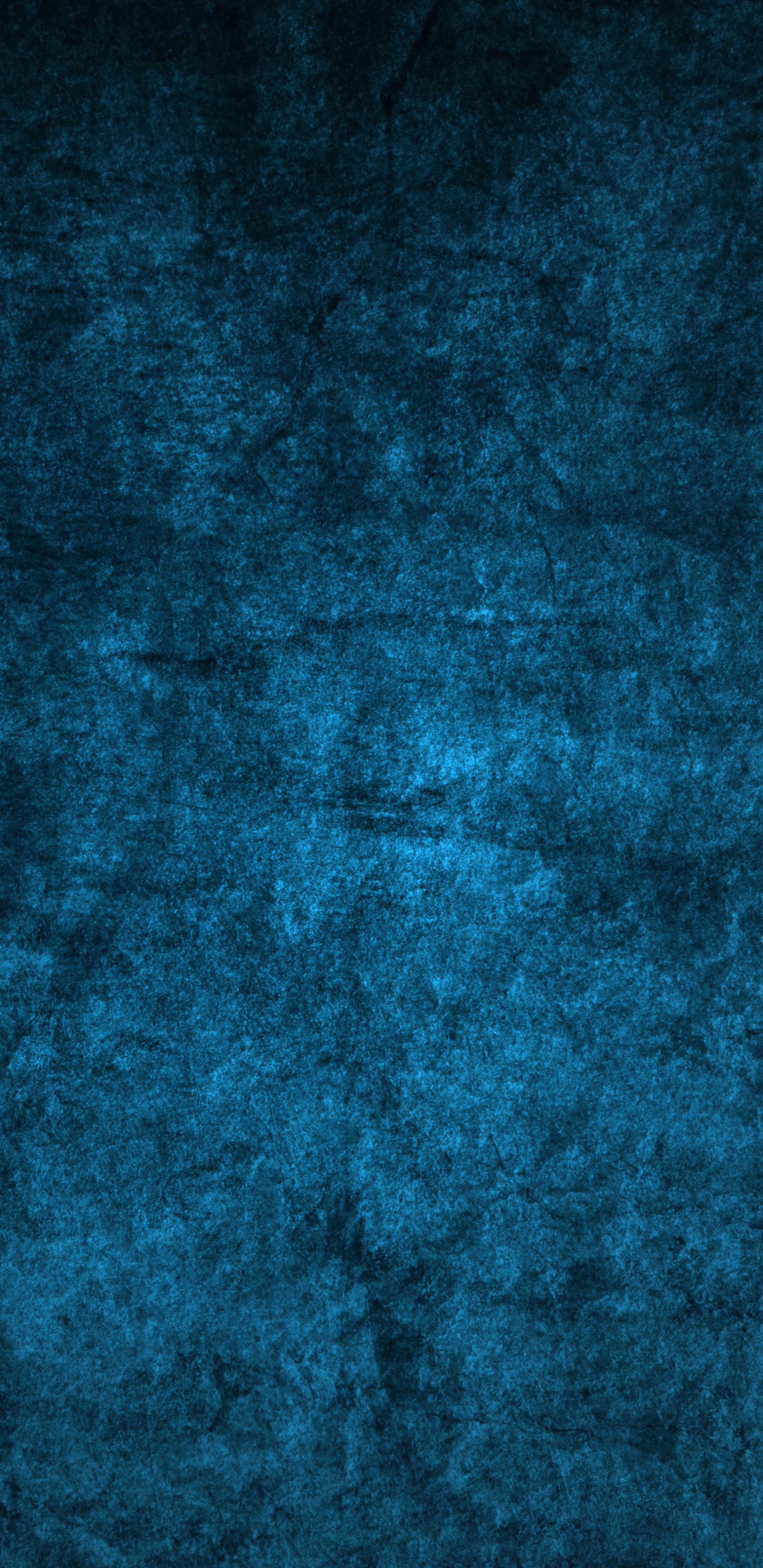 Обои синий, зеленый, бирюза, чирок, лазурный в разрешении 1440x2960