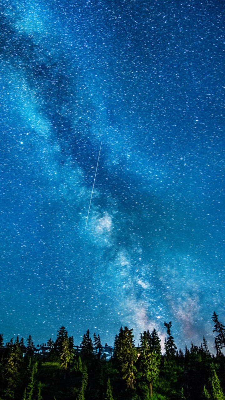 Обои звезда, природа, синий, ночь, дерево в разрешении 720x1280