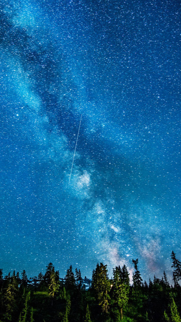 Обои звезда, природа, синий, ночь, дерево в разрешении 750x1334