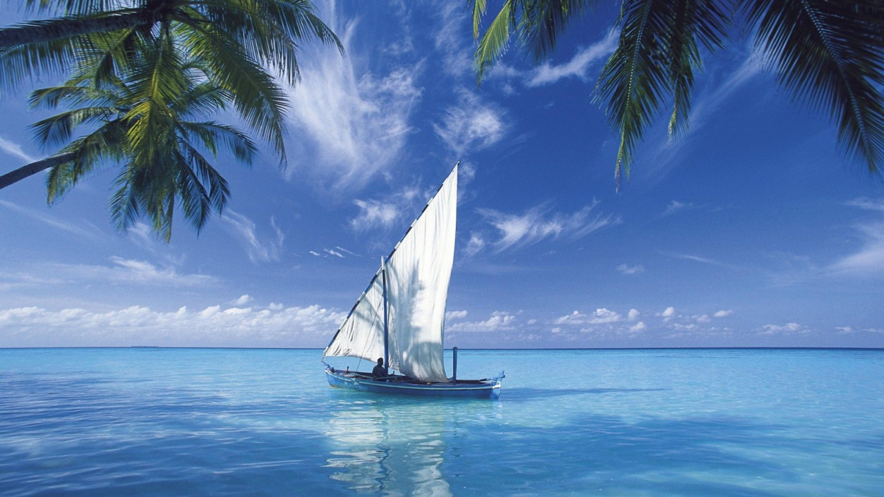 Обои парусная шлюпка, лодка, яхта, перевозка воды, мореплавание в разрешении 1280x720