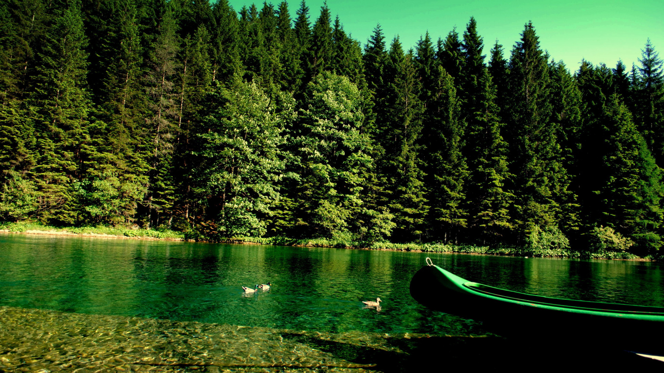 Обои природа, зеленый, отражение, вода, дикая местность в разрешении 1366x768