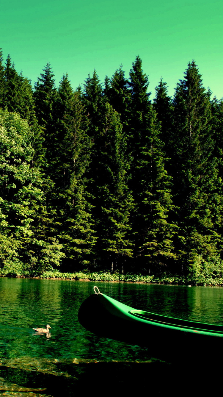 Обои природа, зеленый, отражение, вода, дикая местность в разрешении 750x1334