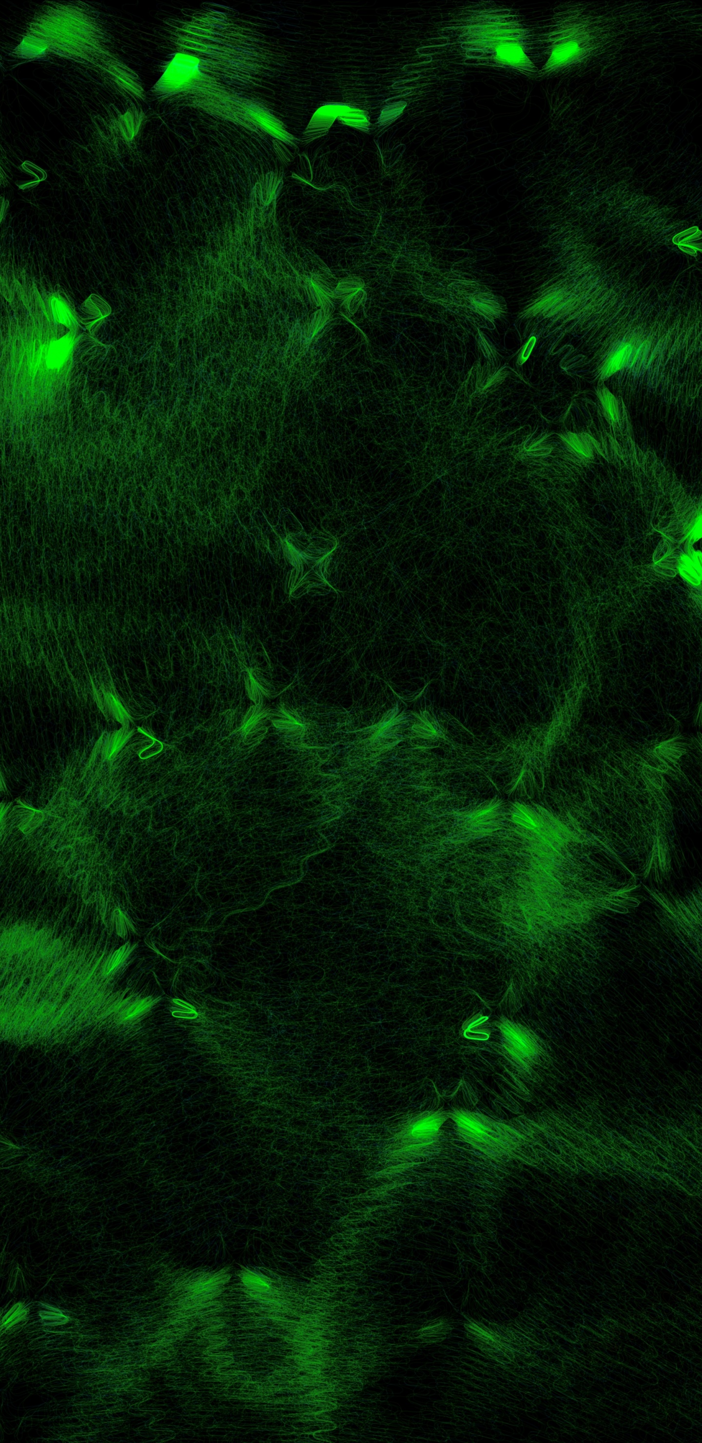 Обои абстракция, зеленый, свет, вода, технологии в разрешении 1440x2960