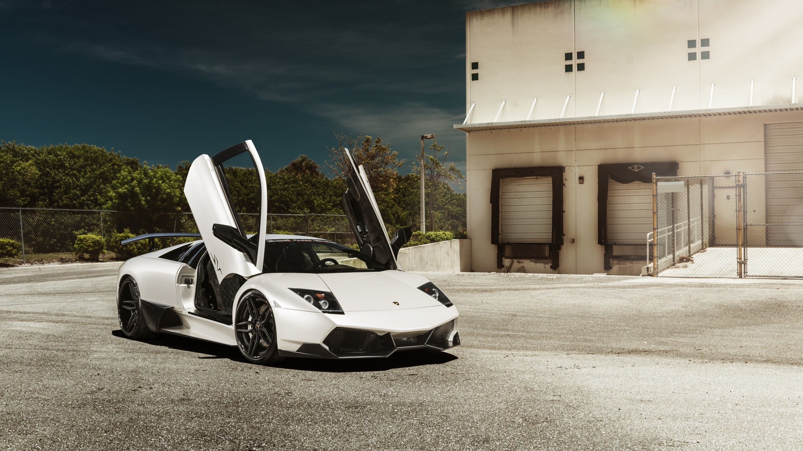 Lamborghini Murcielago HD