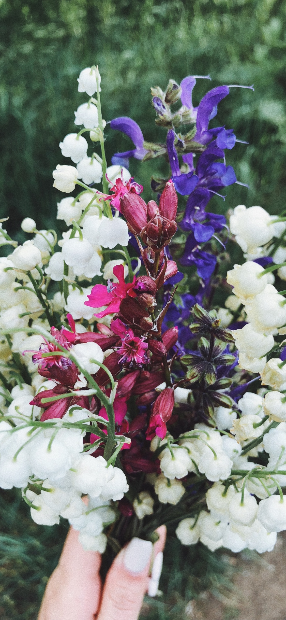 Обои сирень, цветочный дизайн, цветковое растение, цветок, срезанные цветы в разрешении 1125x2436