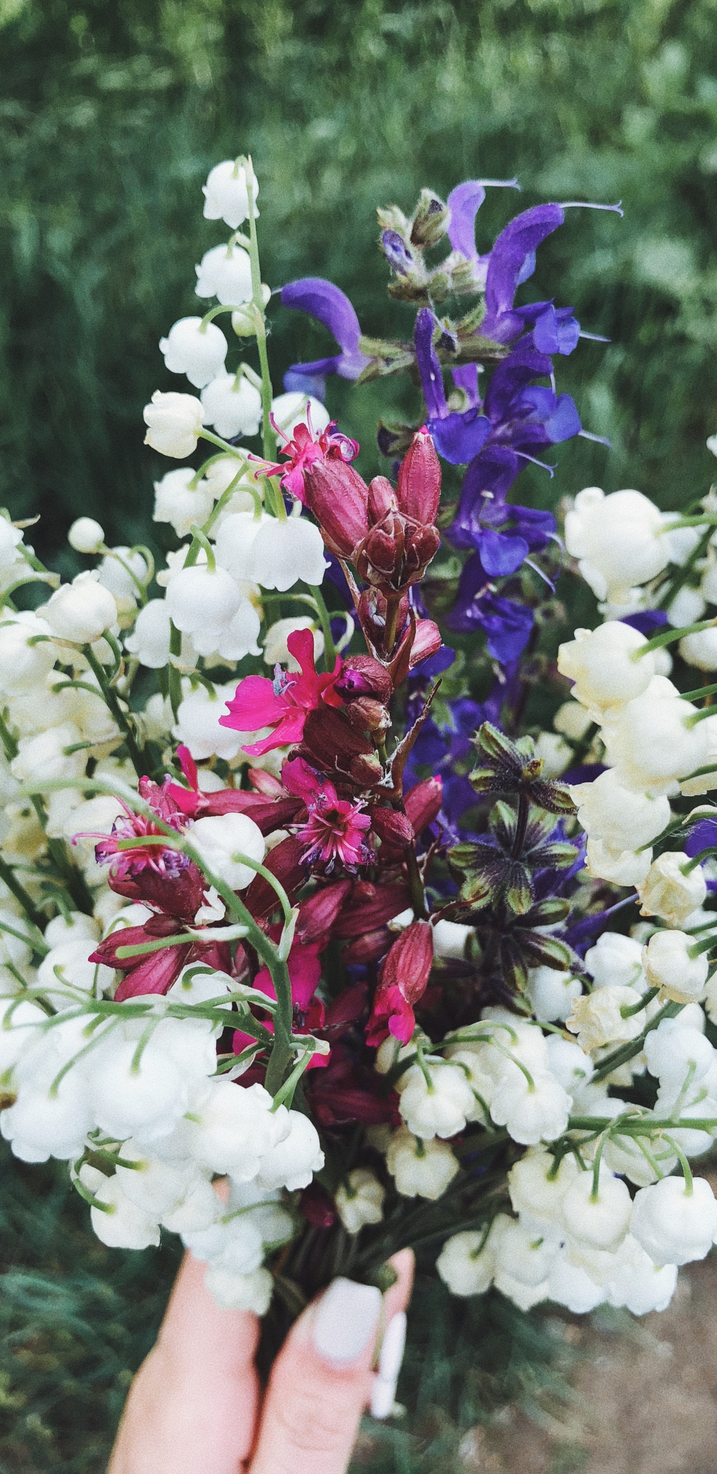 Обои сирень, цветочный дизайн, цветковое растение, цветок, срезанные цветы в разрешении 1440x2960