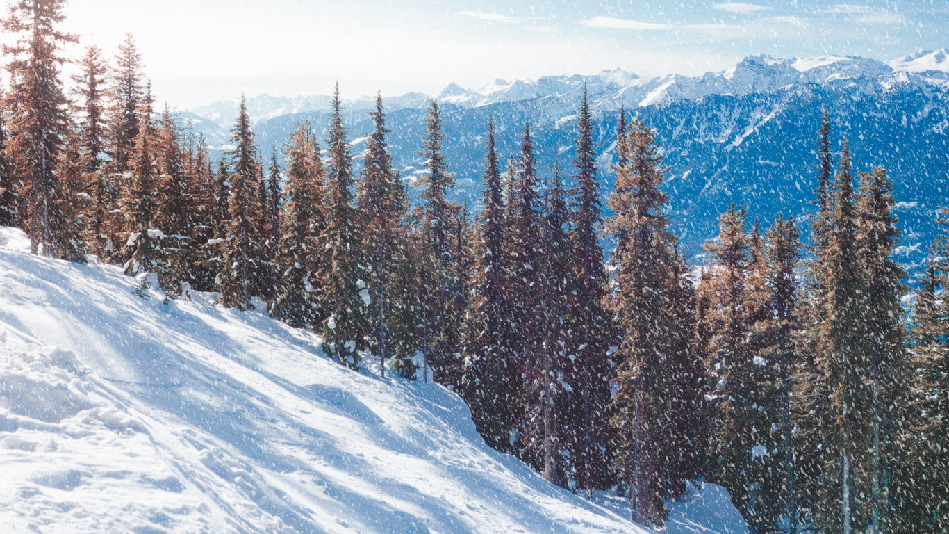 Обои снег, зима, дерево, гора, горный рельеф в разрешении 1366x768