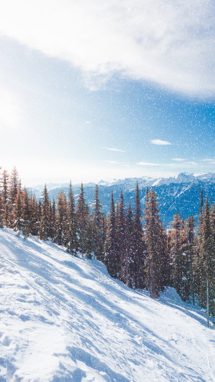 Обои снег, зима, дерево, гора, горный рельеф в разрешении 750x1334