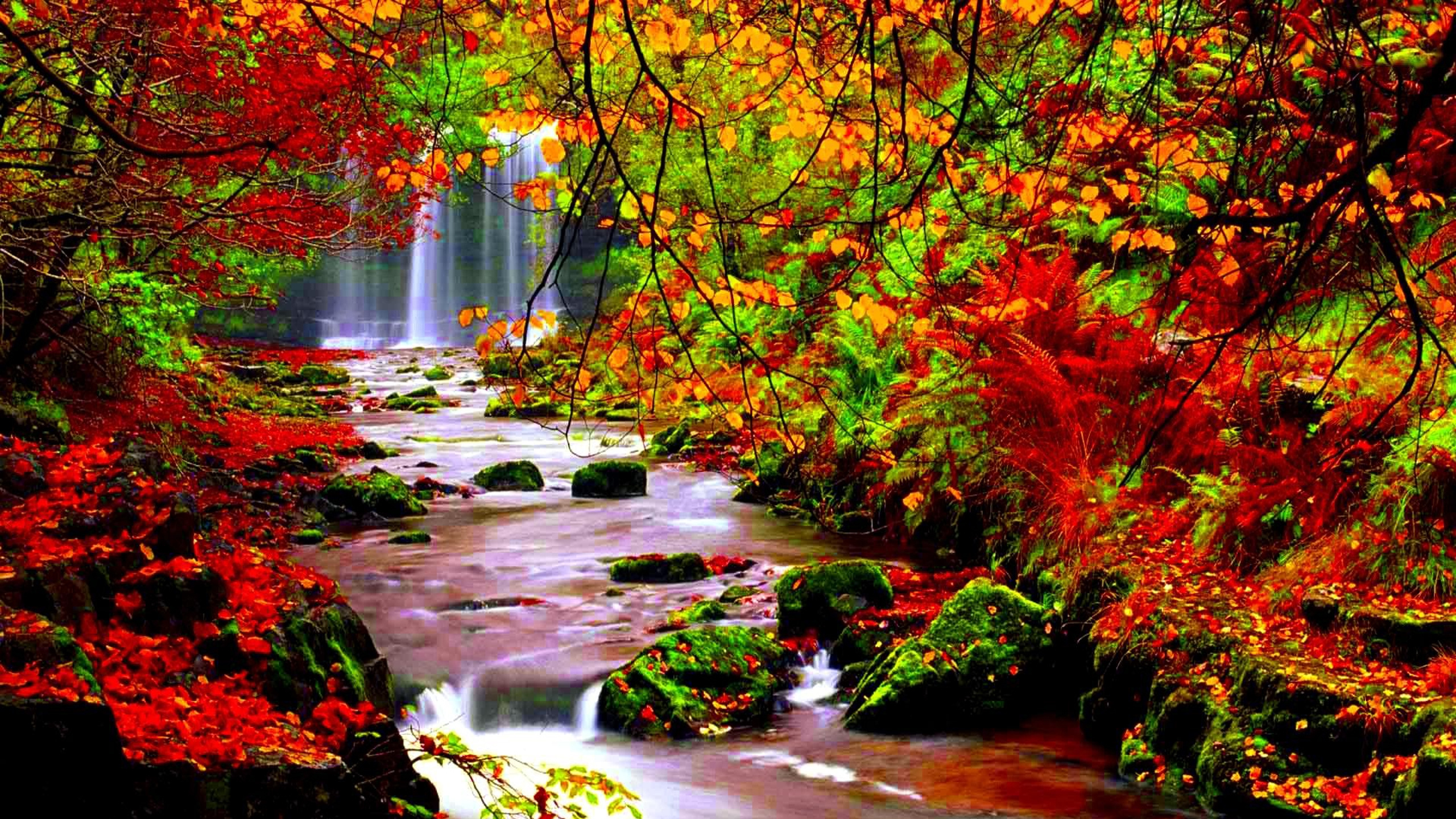 Обои осень, природа, дерево, лист, поток в разрешении 2560x1440