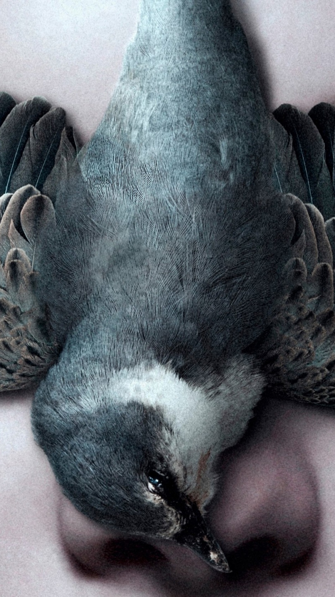 Обои драма, жанр фильма, тайна, Постер фильма, кинорежиссер в разрешении 1080x1920