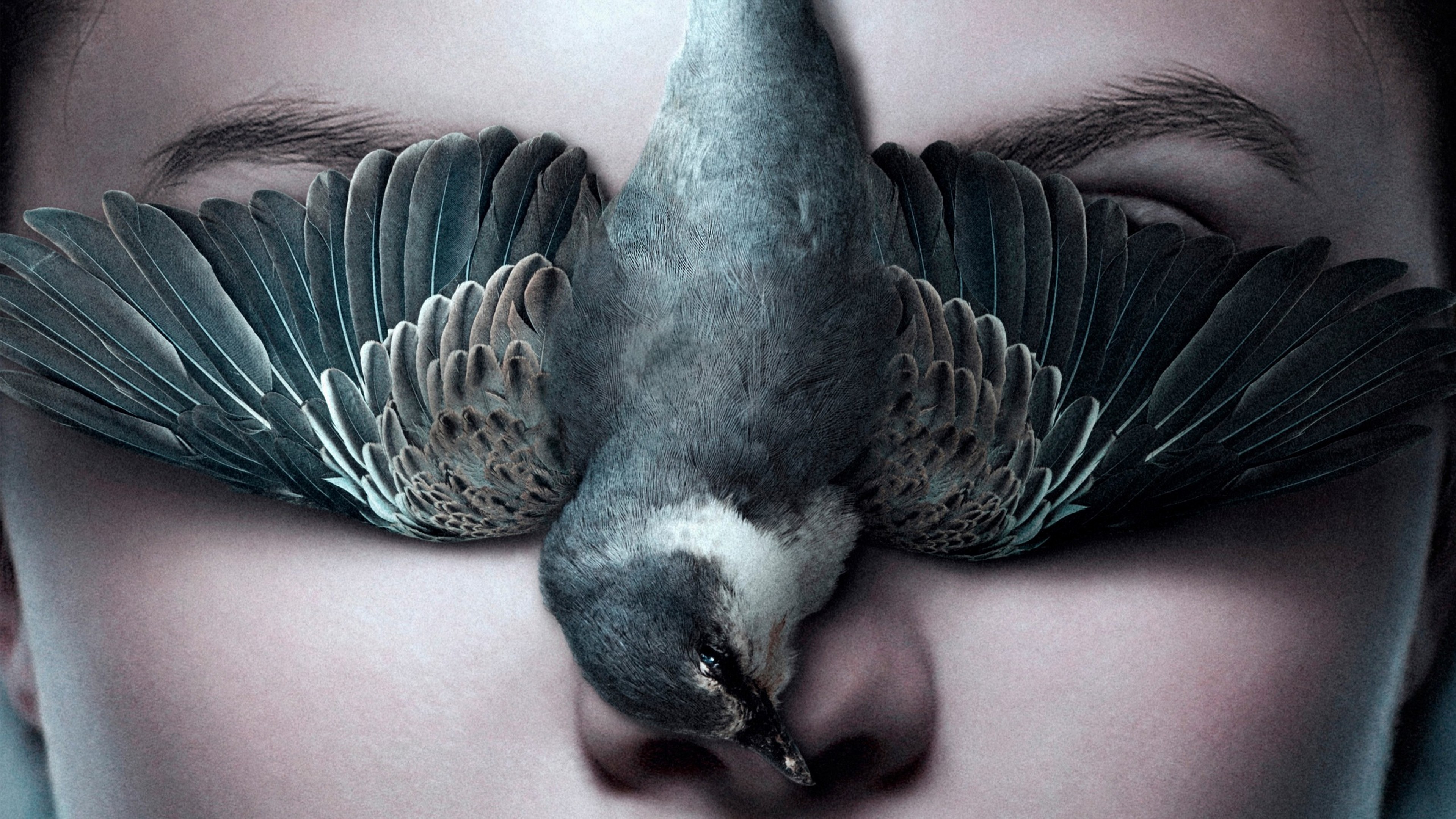 Обои драма, жанр фильма, тайна, Постер фильма, кинорежиссер в разрешении 3840x2160