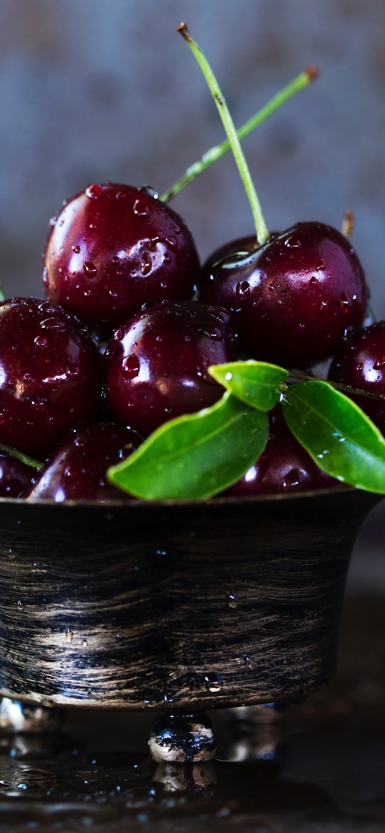 Обои вишня, фрукты, пища, растение, клюква в разрешении 1242x2688