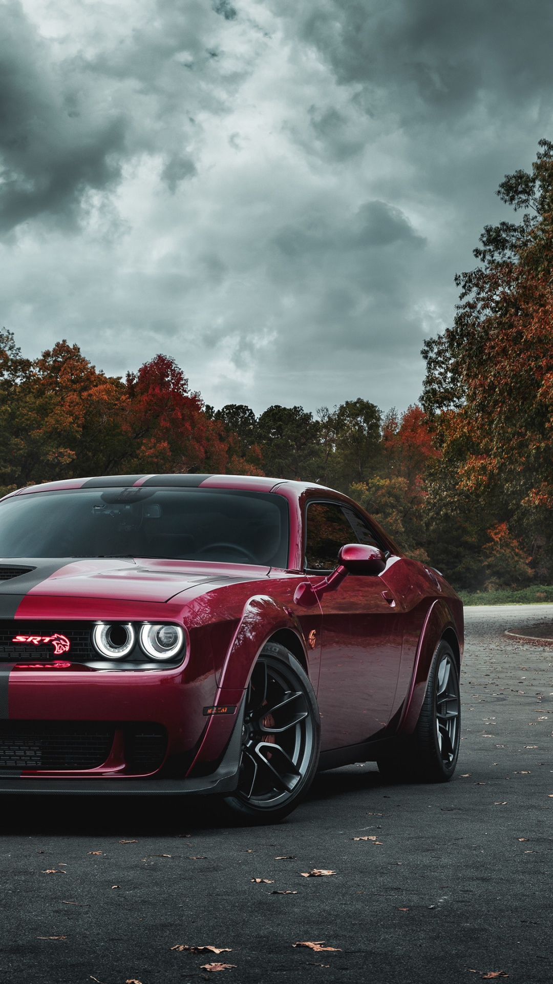 Обои Додж Чарджер СРТ мегеру, 2017 Додж Челленджер, dodge, Король, 2019 Додж Челленджер СРТ мегеру в разрешении 1080x1920